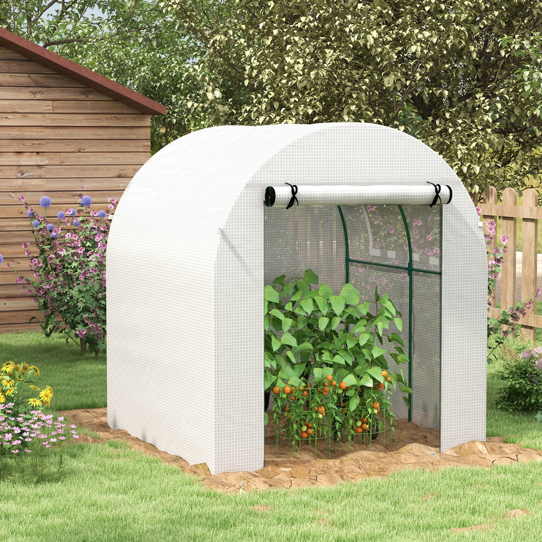 Outsunny Walk in Polytunnel Greenhouse, Green House for Garden with Roll