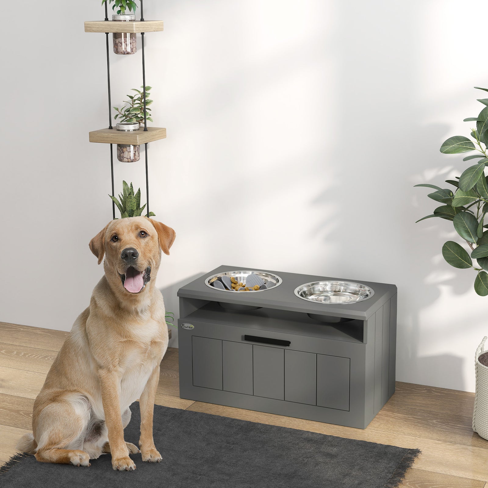 Raised Dog Bowl with Slow Feeder, Two Stainless Steel Dog Bowls, Drawe