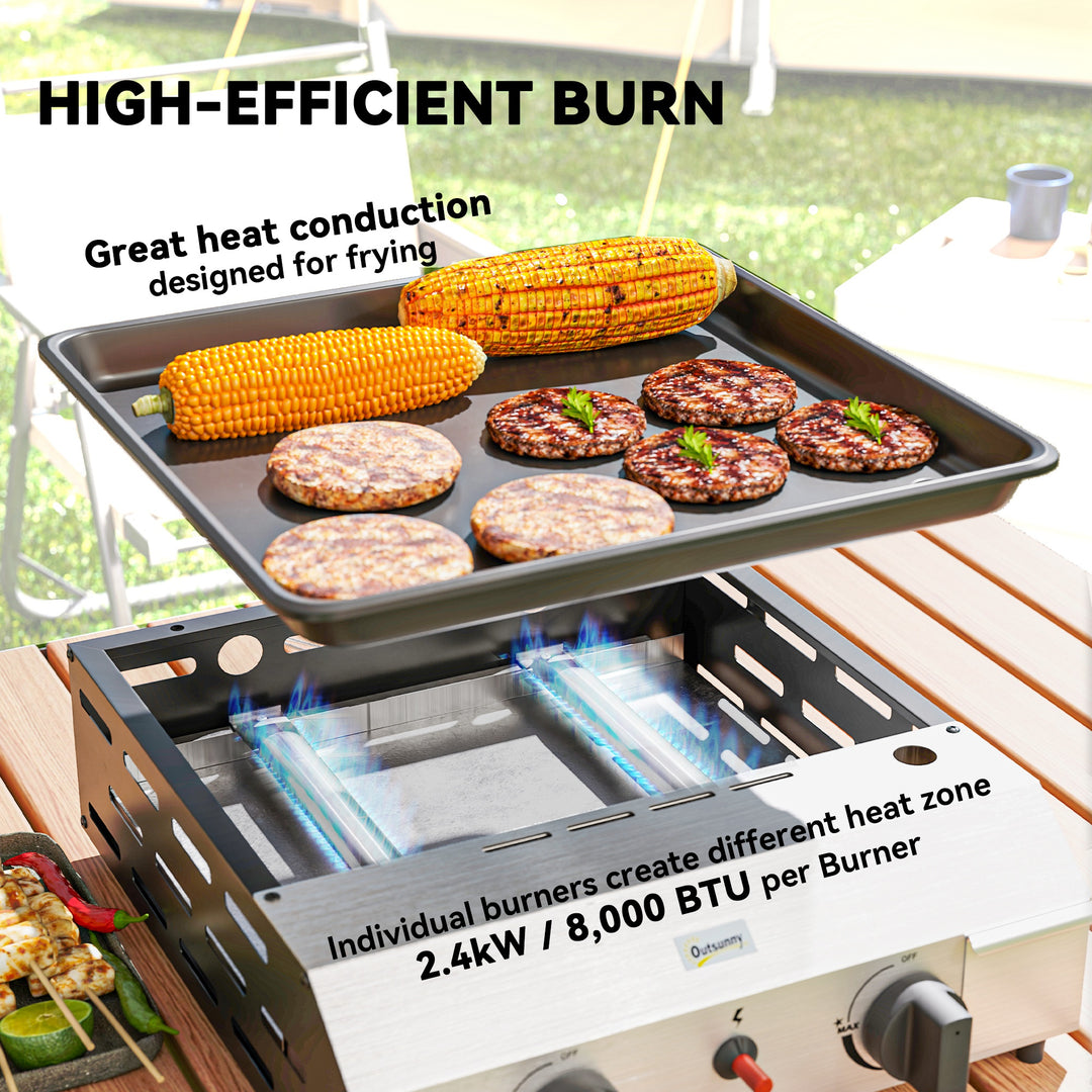Two Burner Portable Gas Grill