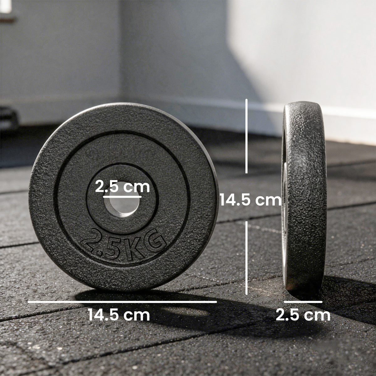 Weight Plates Set, 1"/2.5cm Weight Disc Pair, 4 x 2.5kg Metal Dumbbell