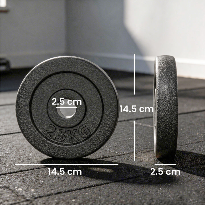 Weight Plates Set, 1"/2.5cm Weight Disc Pair, 4 x 2.5kg Metal Dumbbell
