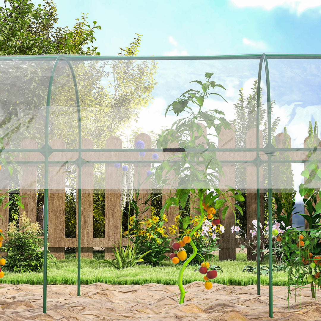 Tunnel Tomato Greenhouse with 4 Hoops and Top Tap, Pointed Bottom and Guy Ropes, 400 x 123 x 171 cm, Clear
