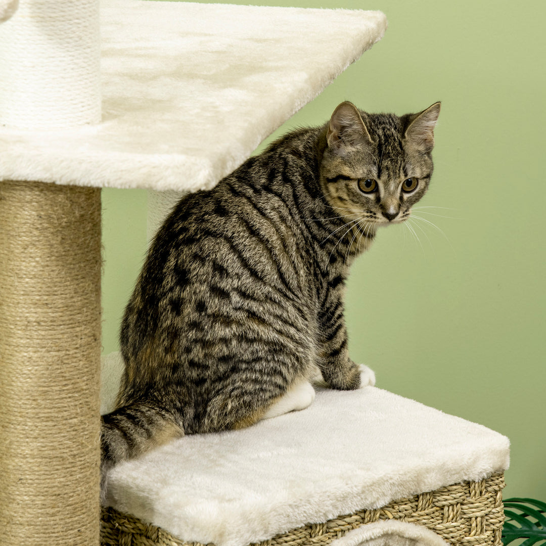 Cat Tree, with Scratching Post, Cat House & Hanging Toy Ball - Beige