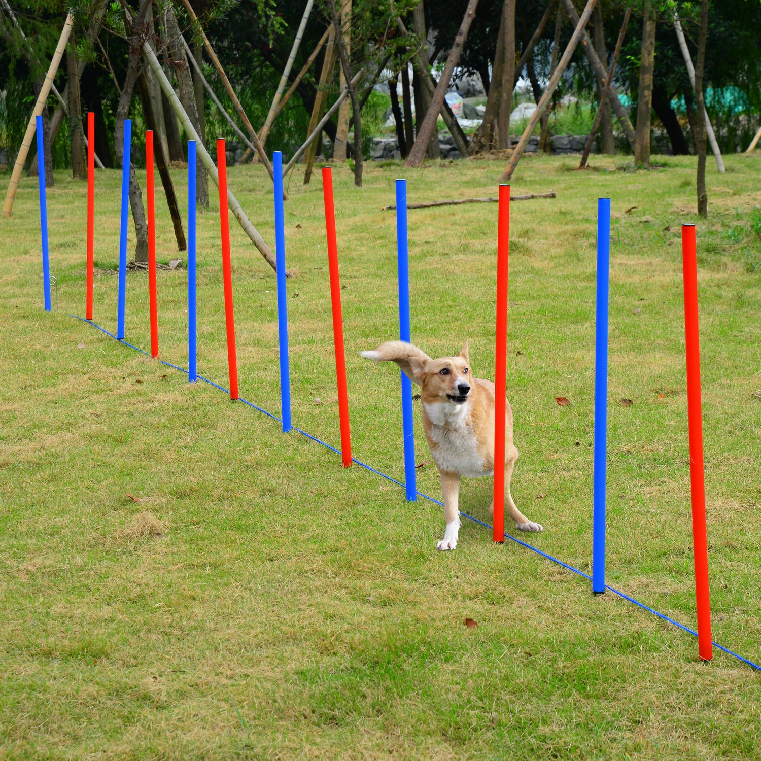Dog Agility Training Equipment Dog Play Run Obedience Training Set Adjustable (Poles)