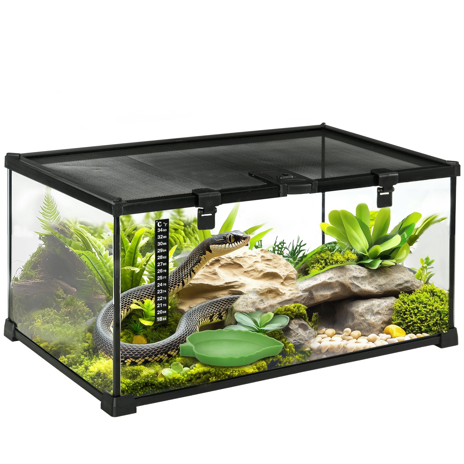 Glass Reptile Terrarium Insect Breeding Tank Vivarium Habitats with Thermometer for Lizards, Horned Frogs, Snakes, Spiders - Medium 50 x 30 x 25cm