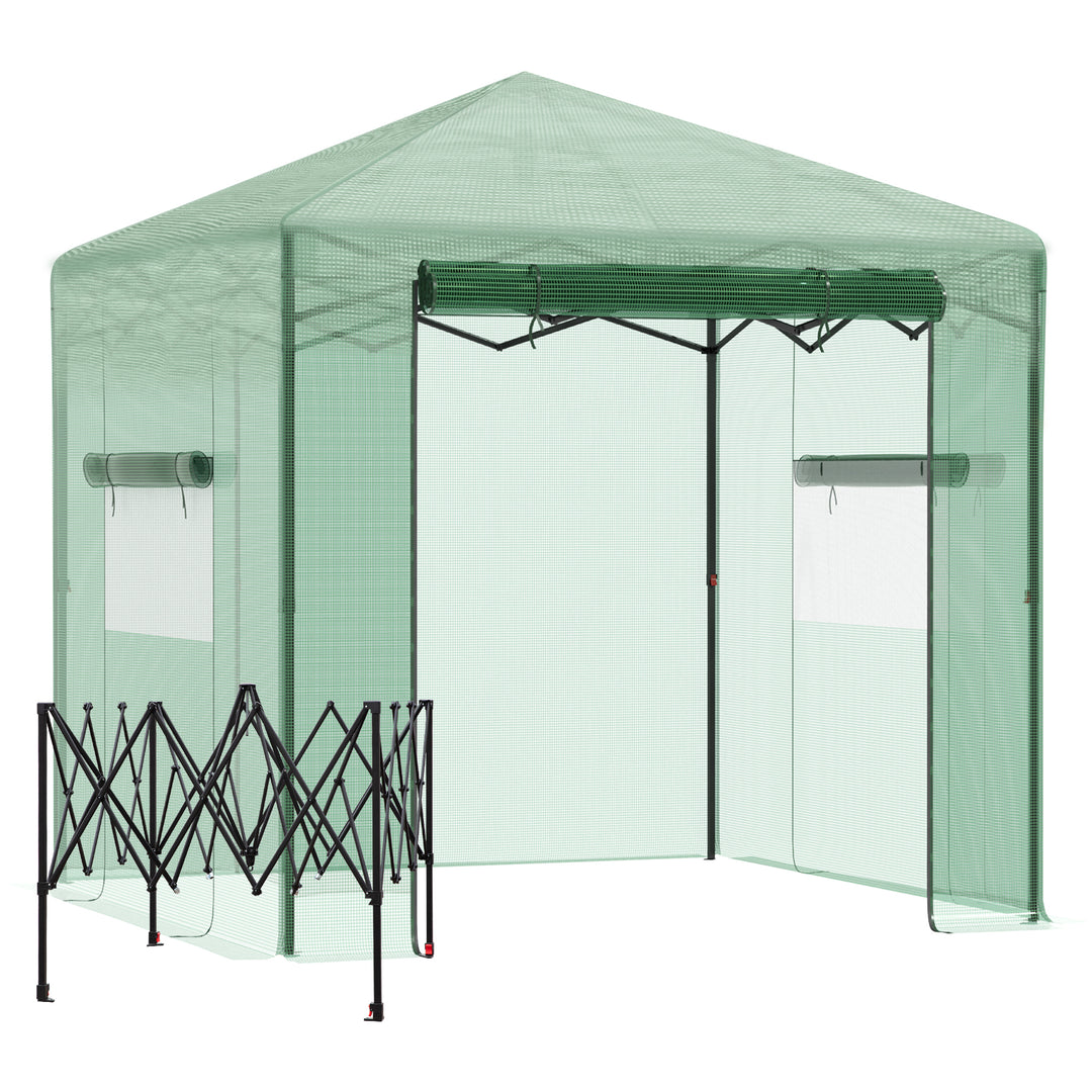 MCL Pop-up Small Greenhouse, Outdoor Walk-in Tomato Greenhouse with Carrying Bag, PE Cover, Steel Frame, Green, 2.4L x 1.8W x 2.4H m