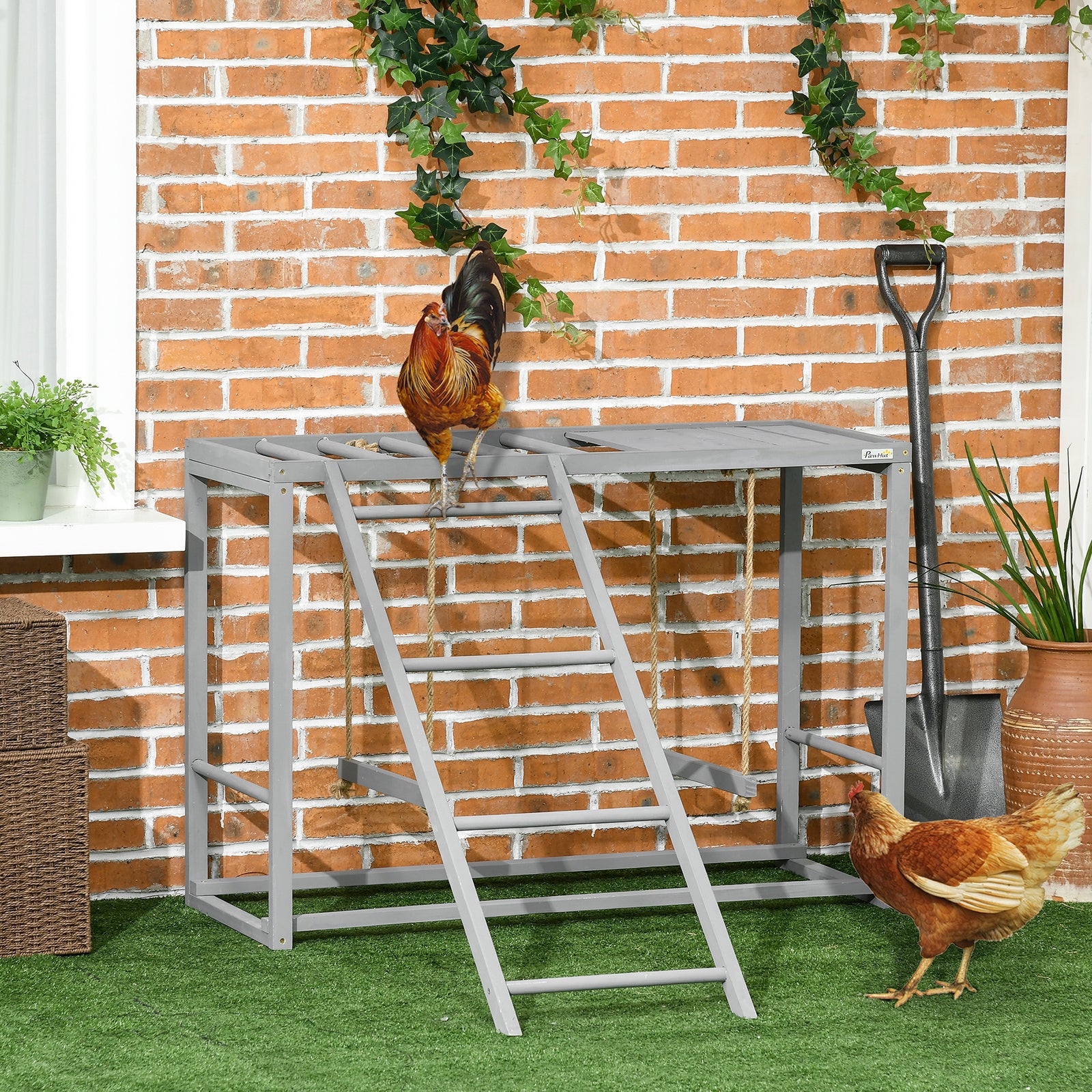 Chicken Activity Play with Swing Set for 3-4 Chickens, Wooden Chicken Coop, Grey