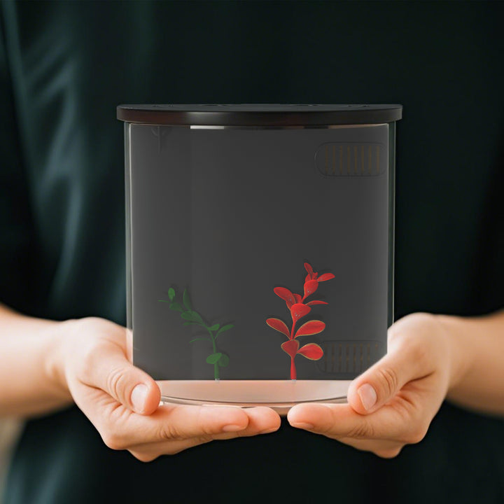 3L Small Fish Tank with Filter System, LED Light, Small Fish Tank for Betta, Goldfish, Shrimp, Black