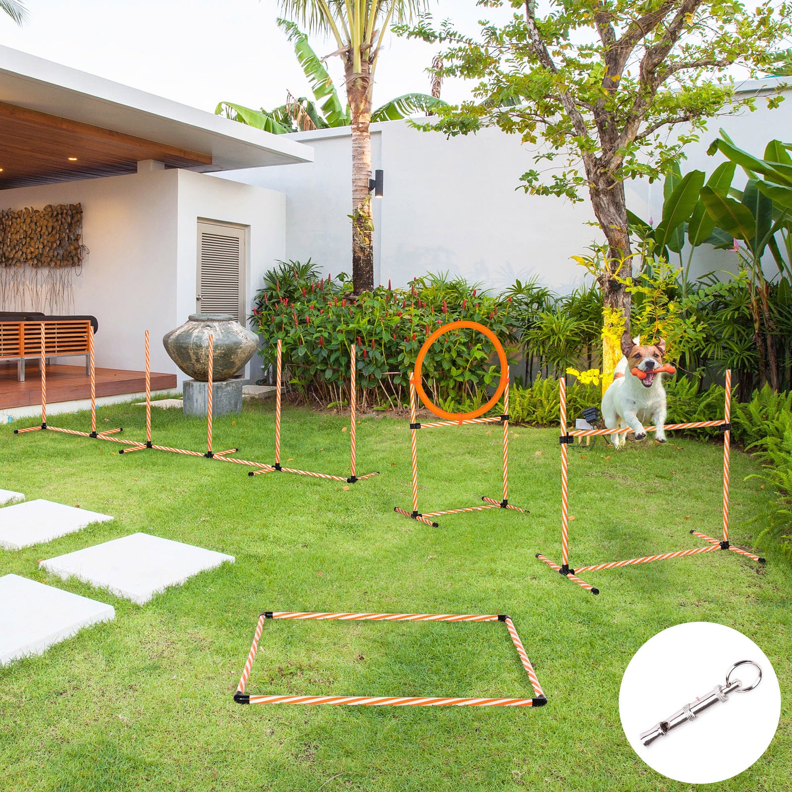 Dog Agility Equipment Pet Training Set with Adjustable Height Jump Ring Hurdle Whistle Weave Poles Square Pause Box Carry Bag