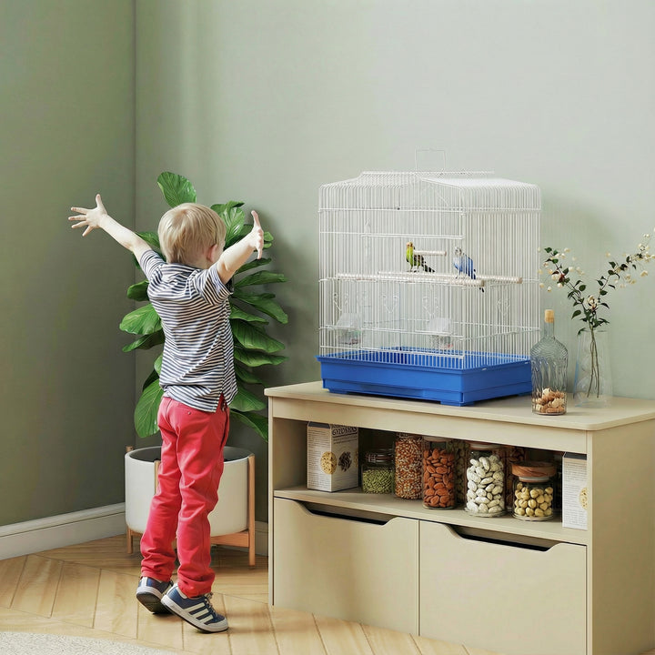 Large Metal Bird Cage with Perches, Food Bowls, Swing, for Budgies, Pa