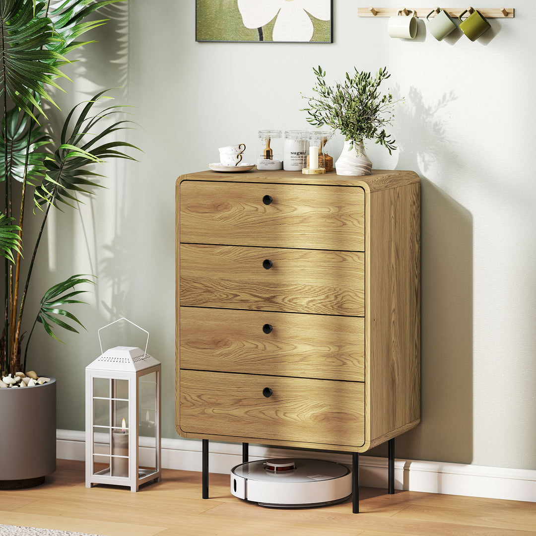 Modern Chest of Drawers with 4 Drawers