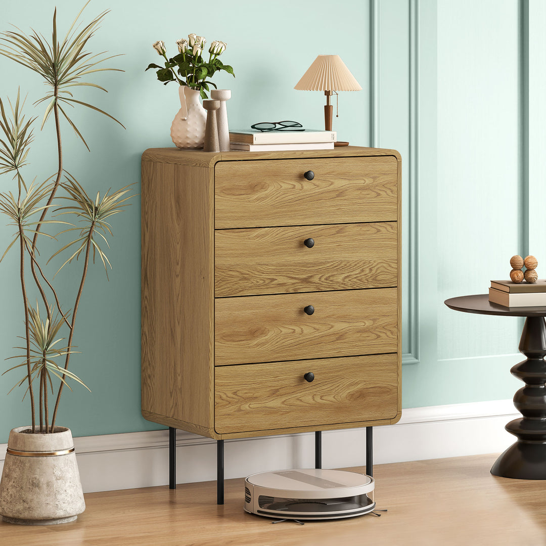 Modern Chest of Drawers with 4 Drawers