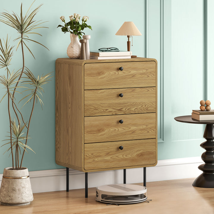 Modern Chest of Drawers with 4 Drawers