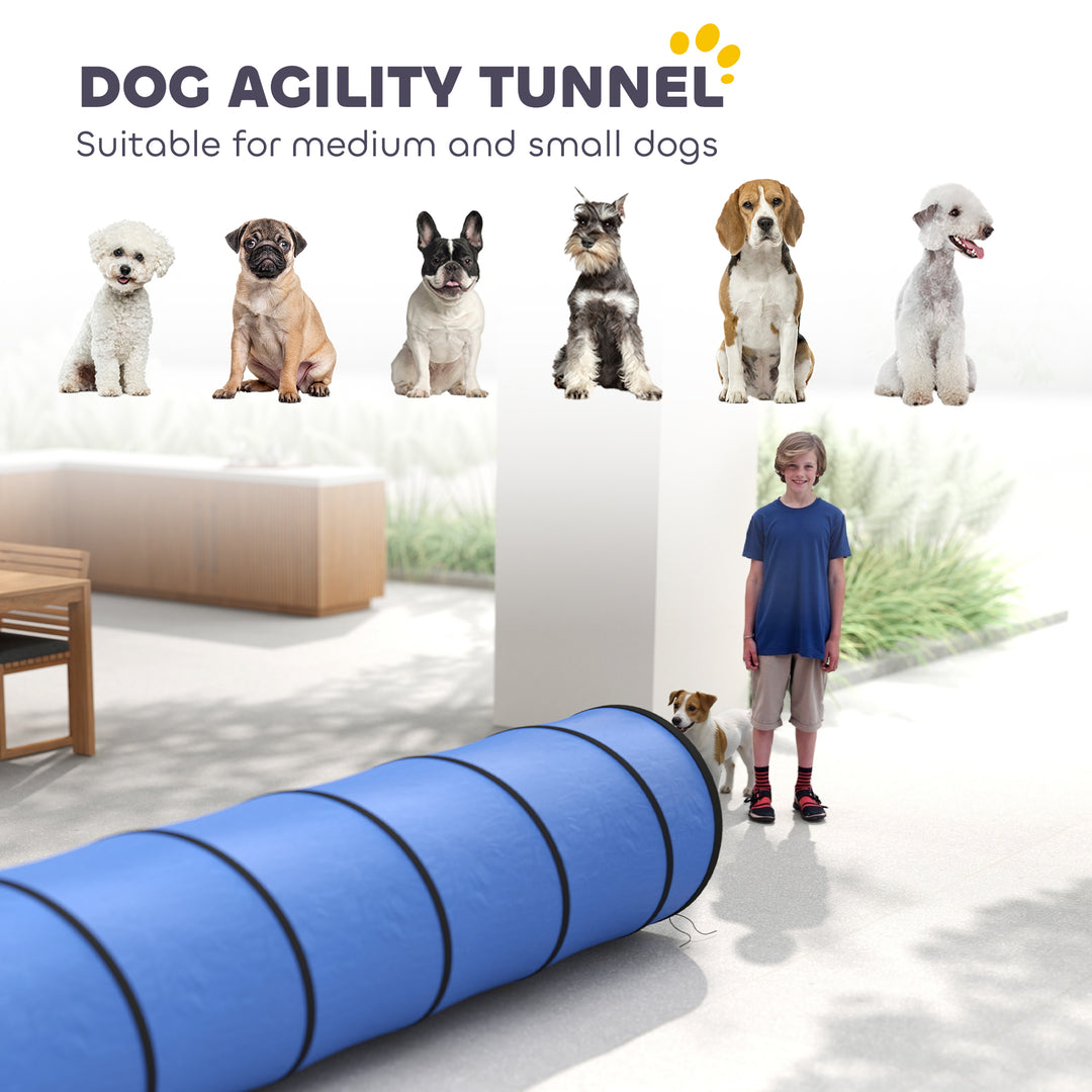 Dog Tunnel, 300 x 50 cm, Foldable Play Tunnel with 4 Pegs and Bag, Tea