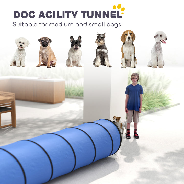 Dog Tunnel, 300 x 50 cm, Foldable Play Tunnel with 4 Pegs and Bag, Tea