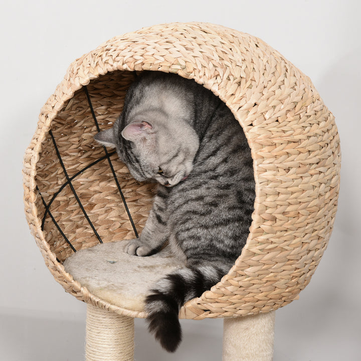 MCL Cat Tree for Indoor Cats 100cm Kitten Climbing Tower Activity Center with Sisal Scratching Post Condo Perch Hanging Balls Teasing Rope Toy Cushion
