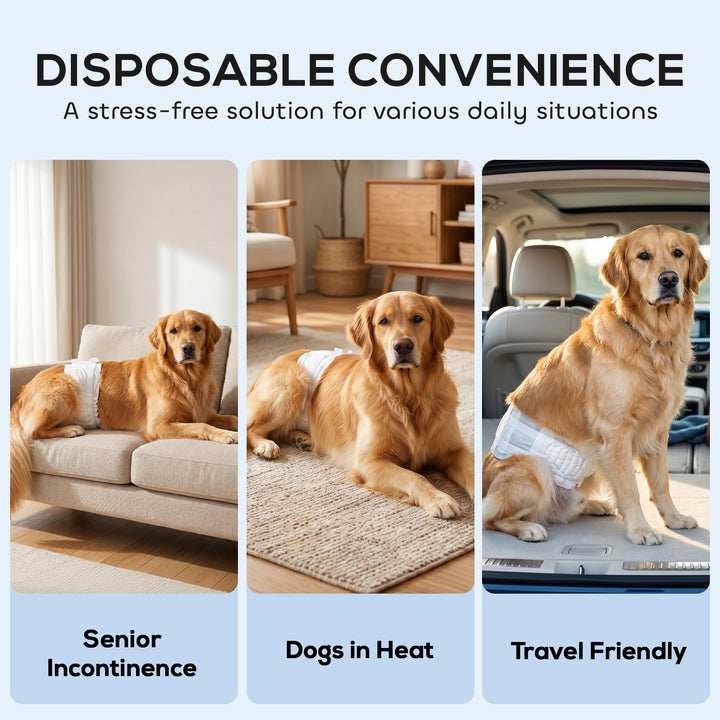 Dog Diapers Super Absorbent Leak-Proof Dog Nappies for Male Dogs Size 