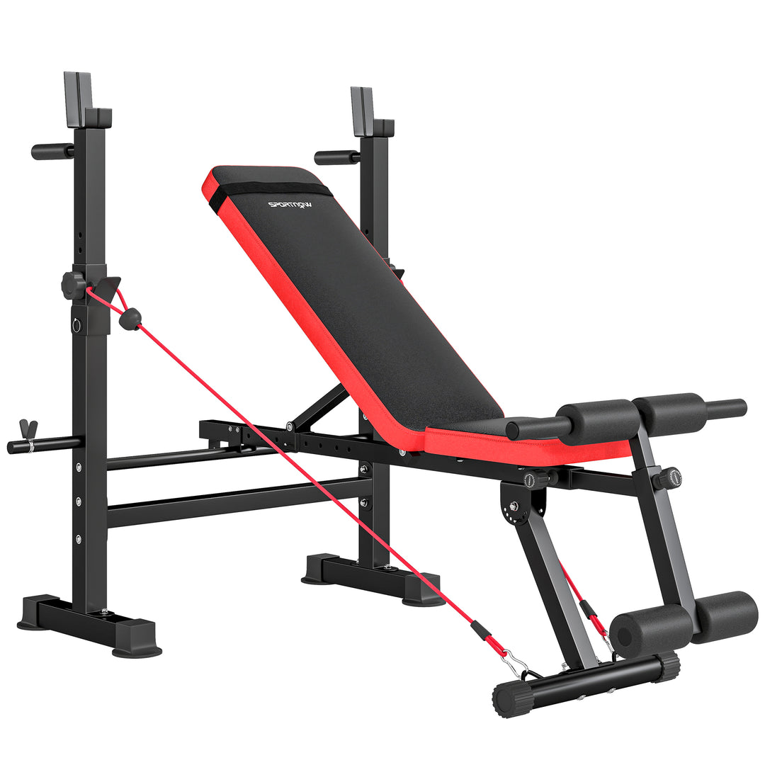 Adjustable Weight Bench with Squat Rack and Dip Stand