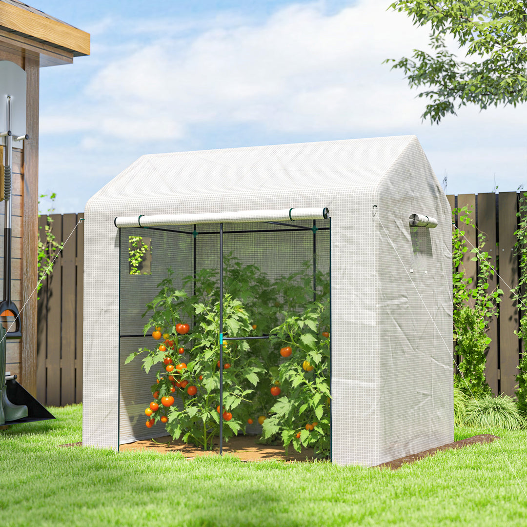 Walk-in Greenhouse, Outdoor Tomato Greenhouse with Roll-up Door and Me