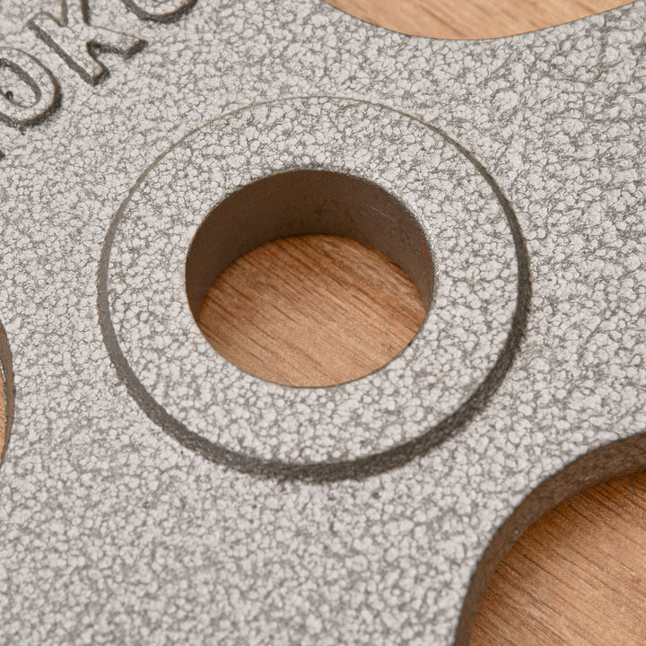 Set of 2 Cast Iron Weight Plates for 2"/5cm Hole Dumbbell Handle Bar, Barbell Weight 2 x 10kg