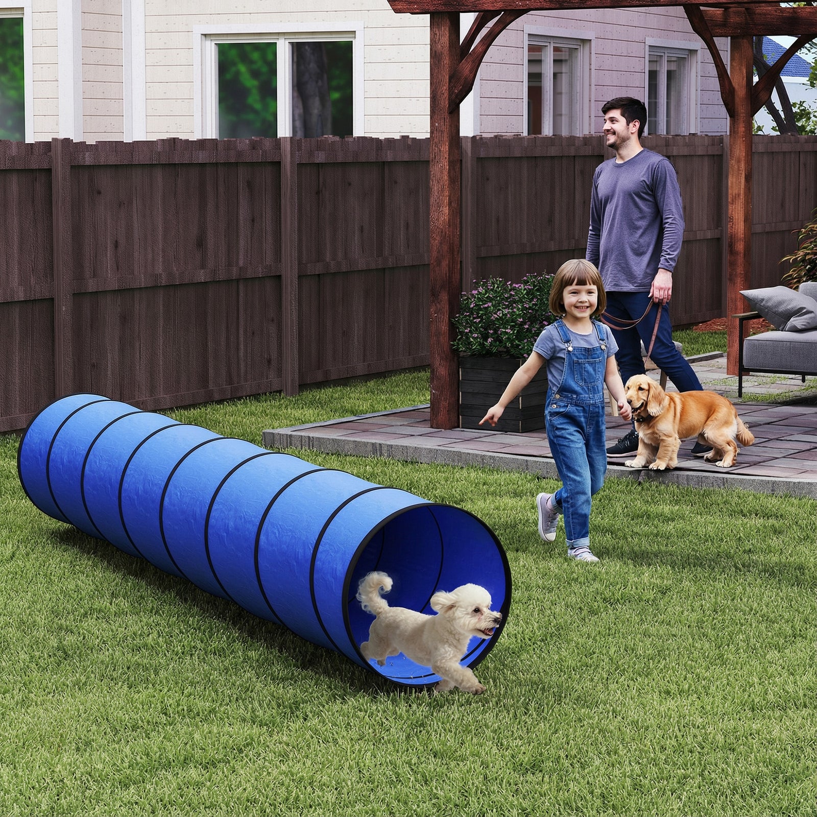 Dog Tunnel, 300 x 50 cm, Foldable Play Tunnel with 4 Pegs and Bag, Tea