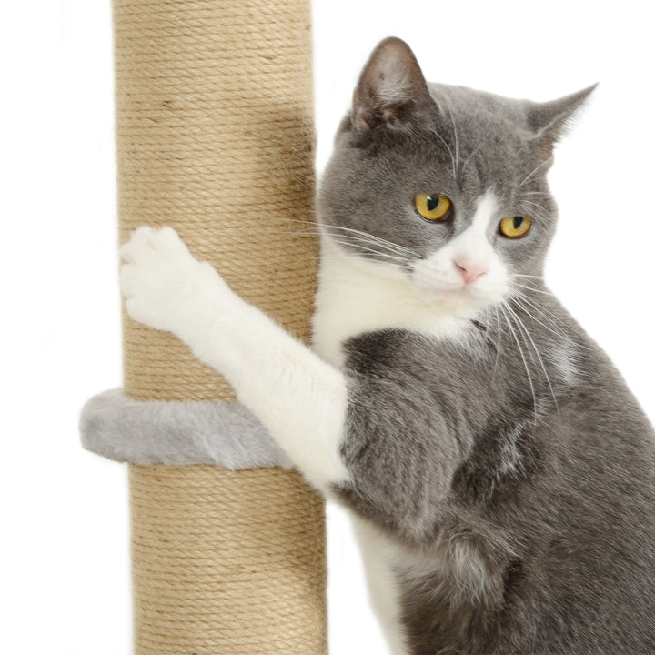 4-Piece Cat Shelves w/ Scratching Post, Steps, Jumping Platform, Ladder, Toy Balls, for Indoor Cats, Light Grey