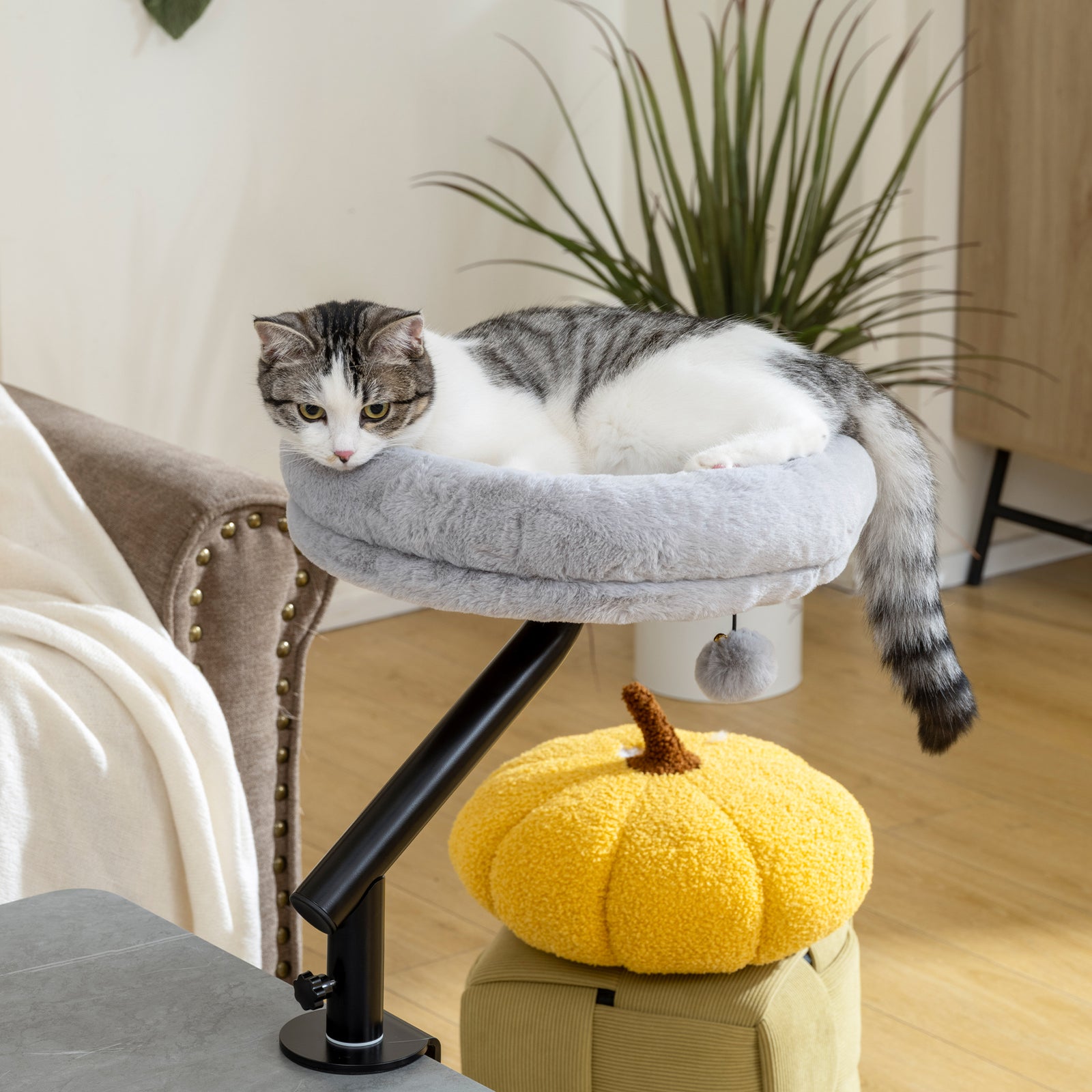 Cat Desk Bed, Cat Hammock 360° Rotatable Adjustable for Window, Table,