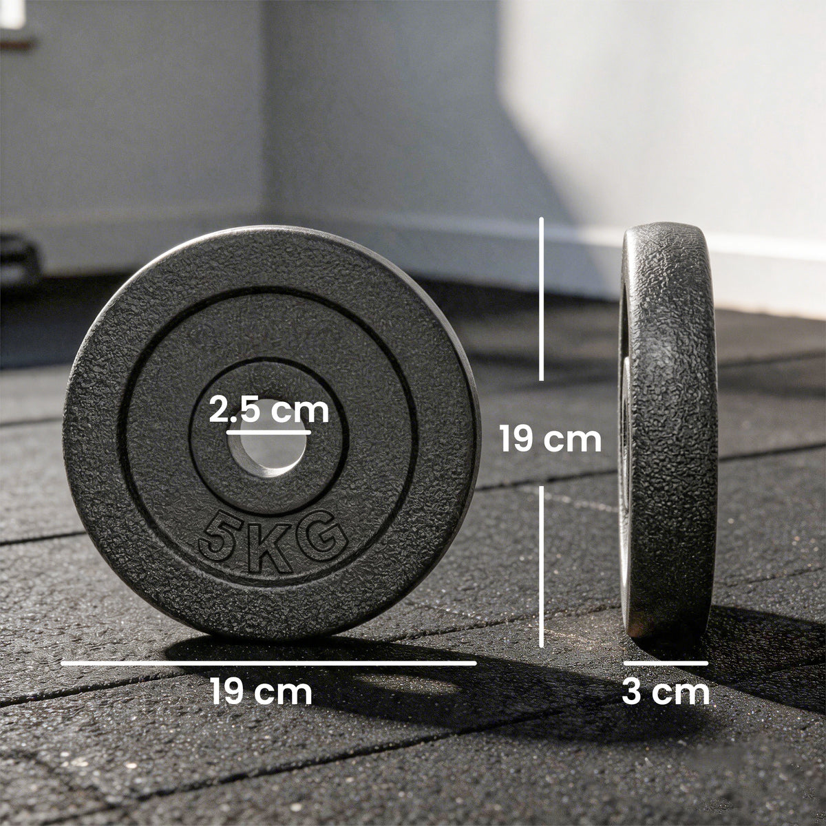 Weight Plates Set, 1"/2.5cm Weight Disc Pair, 4 x 5kg Metal Dumbbell/B