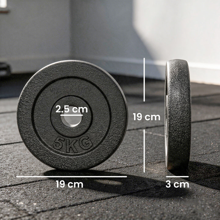 Weight Plates Set, 1"/2.5cm Weight Disc Pair, 4 x 5kg Metal Dumbbell/B