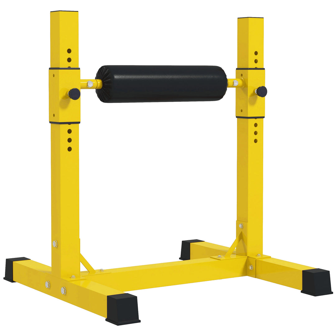 Bulgarian Split Squat Stand