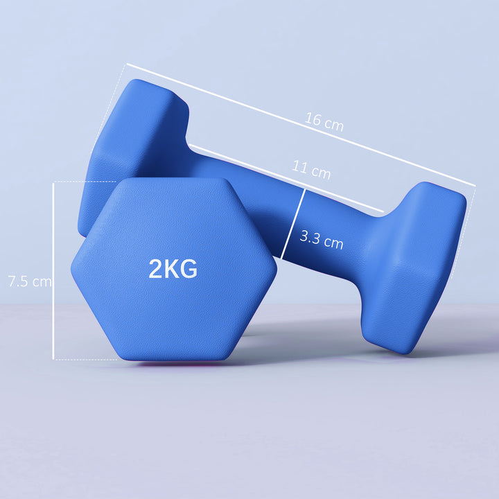 2 x 2kg Hexagonal Dumbbells Weights Set with Non-Slip Grip for Home Gym Workout, Blue