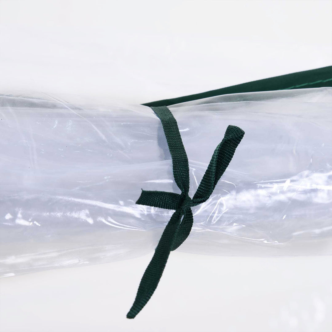 Set of 2 Tunnel Greenhouse, Green Grow House with Roll-up Door, Steel Frame, Plastic Cover for Garden, Outdoor, 250 x 100 x 80cm, Clear