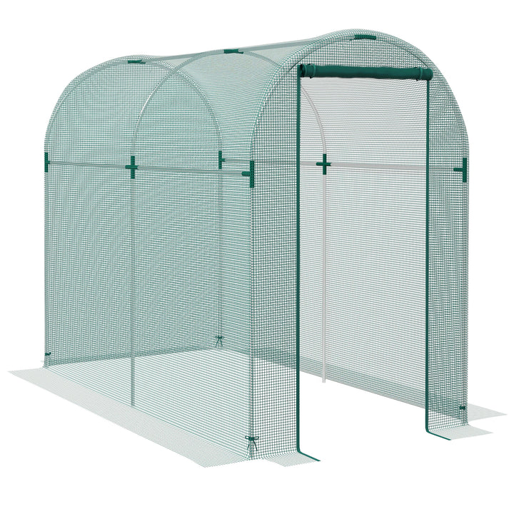 240 x 120cm Mini Polytunnel Greenhouse