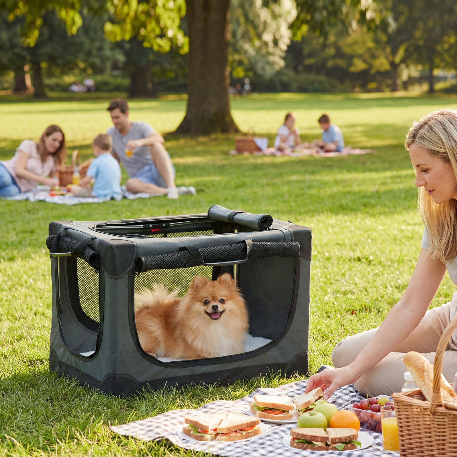 Soft Dog Crate Pet Travel Crate 60 x 42 x 43 cm with Removable Pad Mes