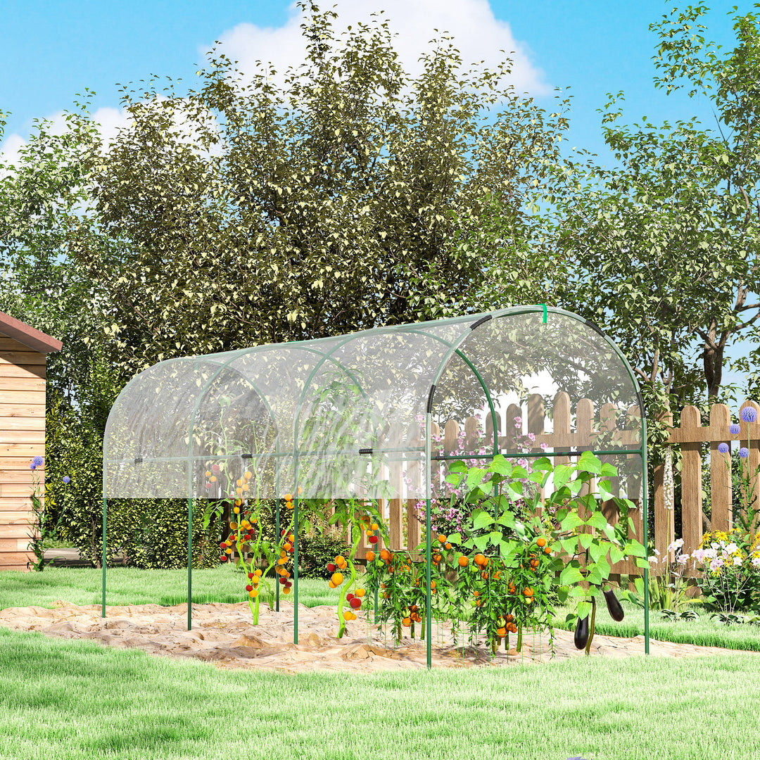 Tunnel Tomato Greenhouse with 4 Hoops and Top Tap, Pointed Bottom and Guy Ropes, 400 x 123 x 171 cm, Clear