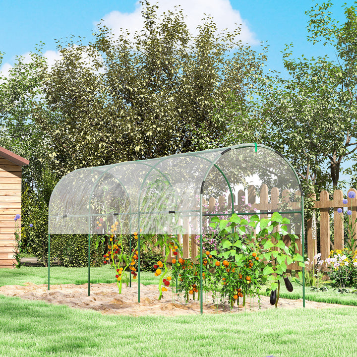Tunnel Tomato Greenhouse with 4 Hoops and Top Tap, Pointed Bottom and Guy Ropes, 400 x 123 x 171 cm, Clear
