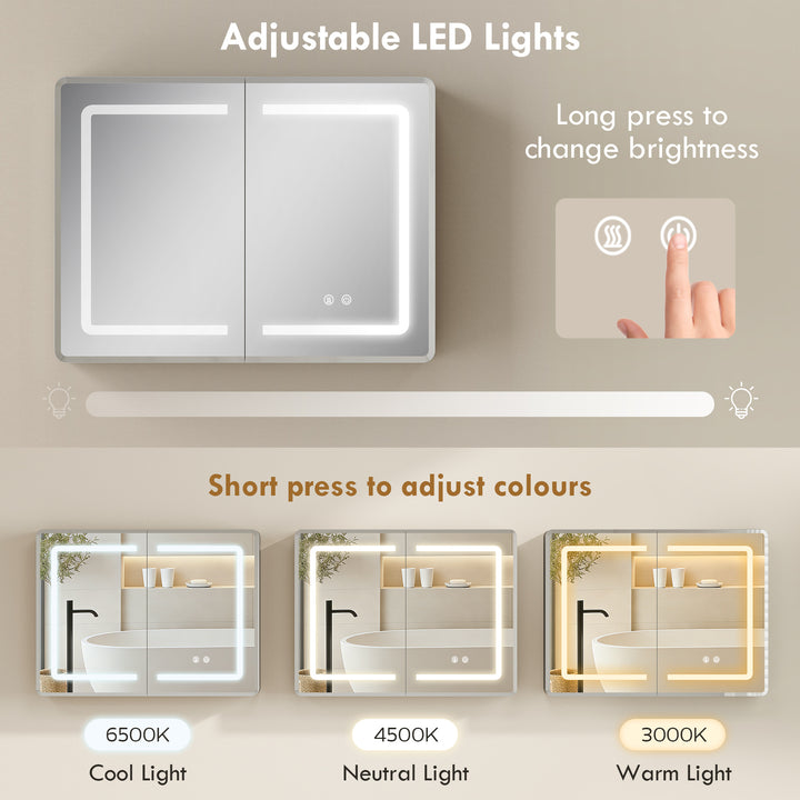 Mirrored Bathroom Cabinet with LED Lights, 60 x 80 cm Bathroom Mirror 