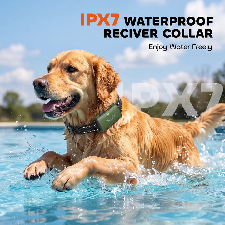 Dog Training Collar with 3200Ft Remote Range, Anti Barking Device with