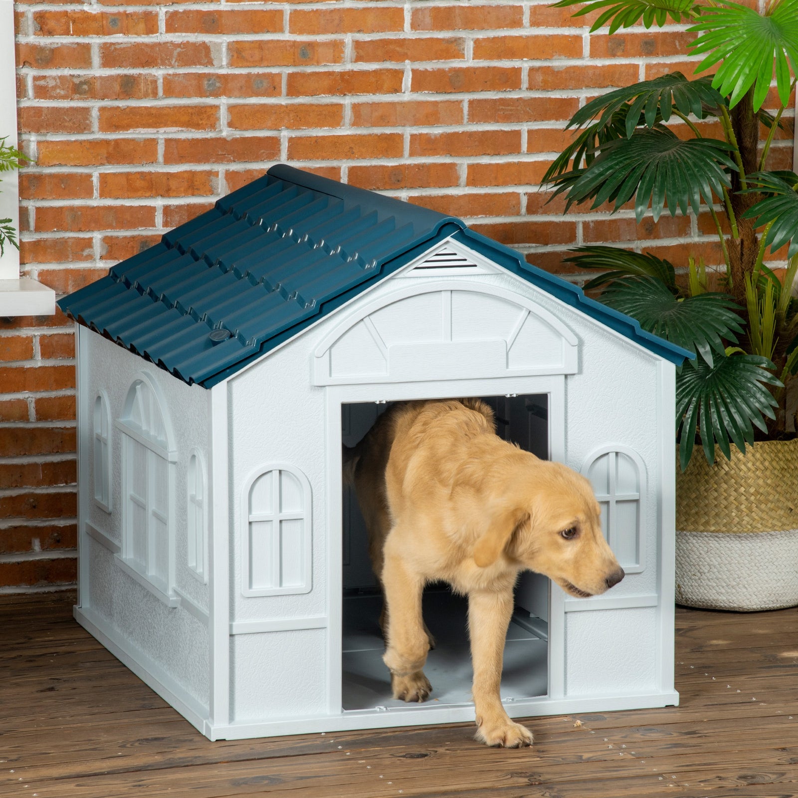 Plastic Weather-Resistant Dog House, for Indoors and Outdoors, Large Dogs - White and Blue