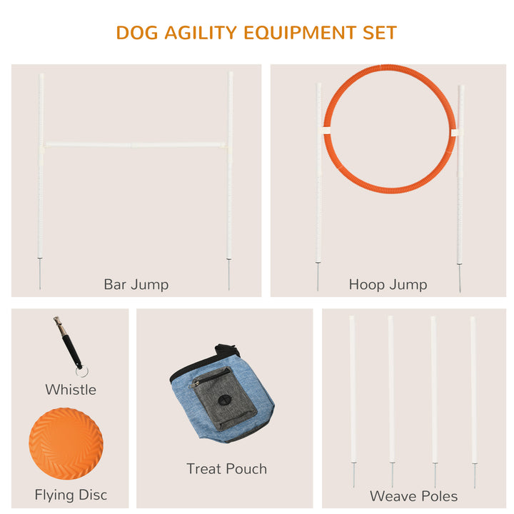 Dog Agility Training Equipment for Dogs with Carry Bag - Multicoloured