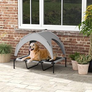 Dog Beds