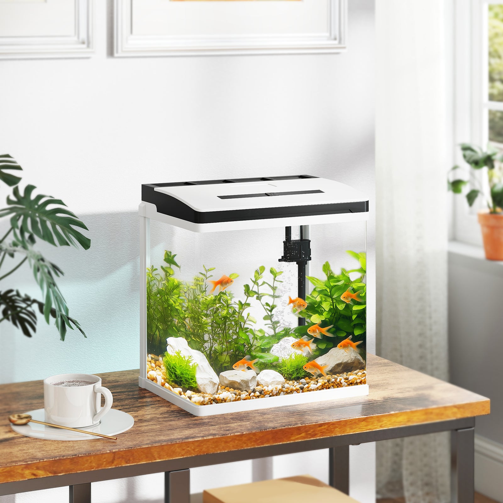 13L Glass Aquarium Fish Tank with Filter, LED Lighting, for Betta, Guppy, Mini Parrot Fish, Shrimp, 29 x 20 x 30.5cm