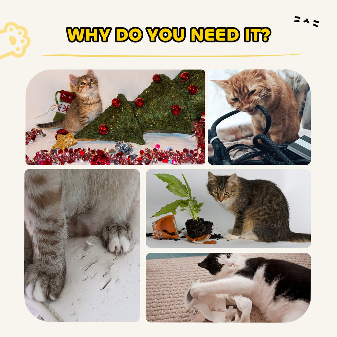 MCL 63cm Cat Scratching Post, Cat Scratcher with Replaceable Scratching Board, Top Perch, Sisal Scratch Mat, Oak