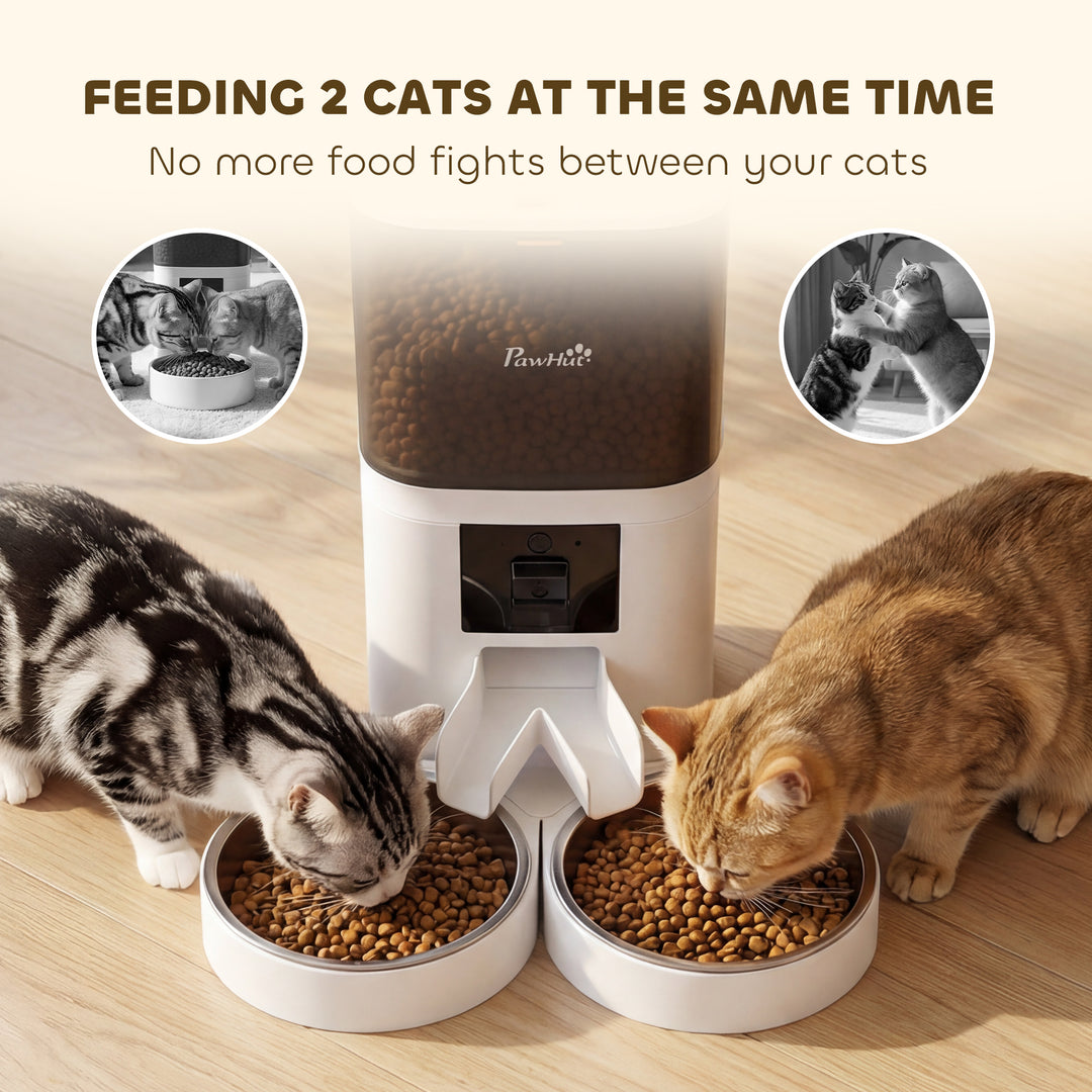 Automatic Cat Feeder for 2 Cats with HD Camera，2.4G &amp; 5G WiFi Pet Food