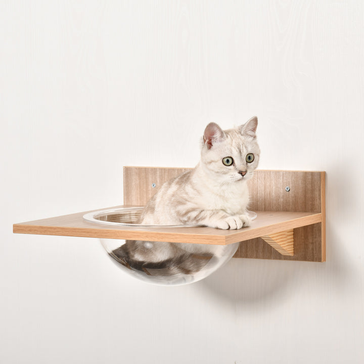 MCL 4PCs Wall-mounted Cats Climbing Shelf Set Cat Tree Kitten Perch Activity Center with Hammock Scratching Post Jumping Platform Brown