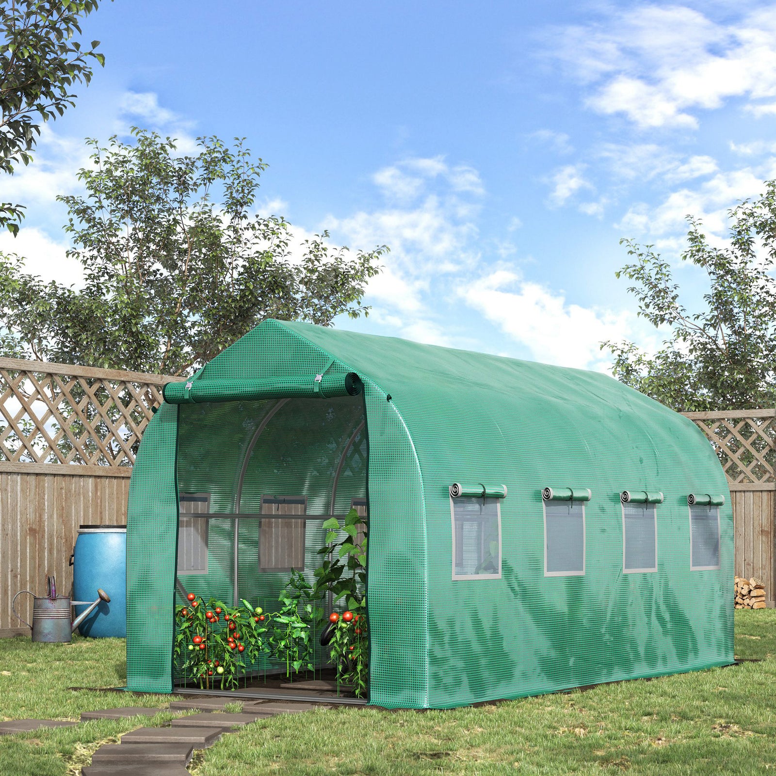 Polytunnel Greenhouse with Windows and Door, Walk in Greenhouse for Garden, Backyard (4 x 2 M)
