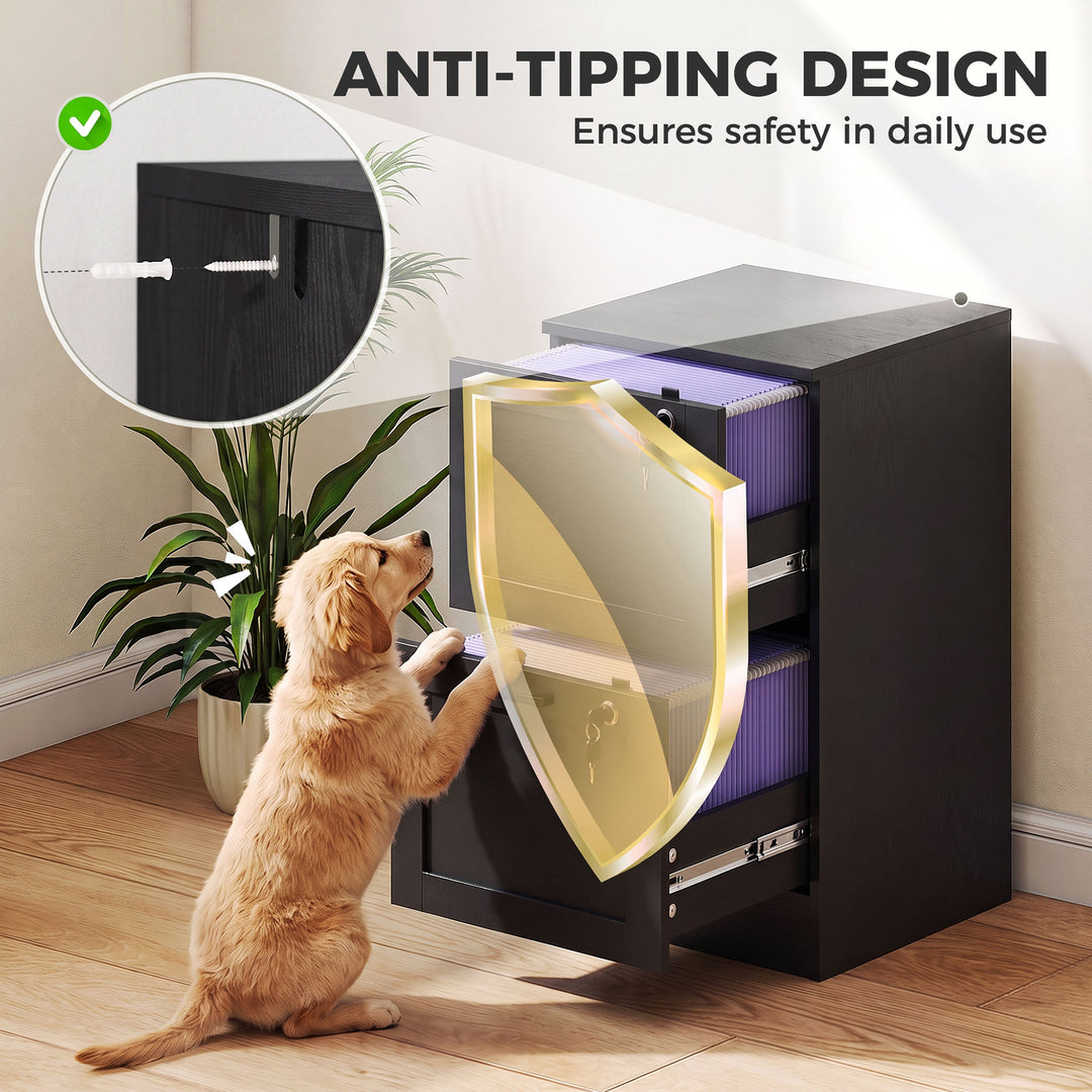 2-Drawer Filing Cabinet with Lock - Black