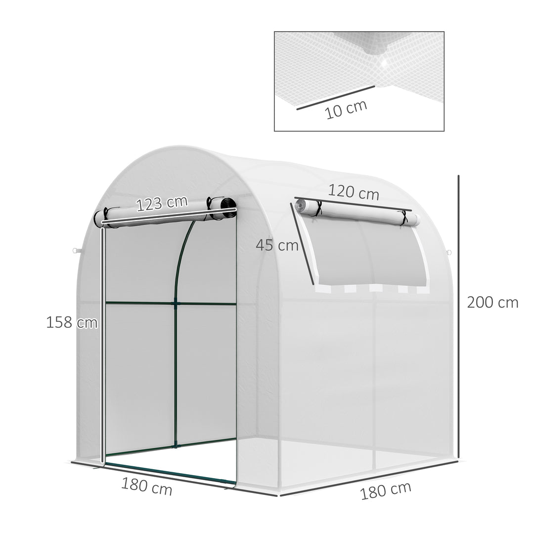 Outsunny Walk in Polytunnel Greenhouse, Green House for Garden with Roll