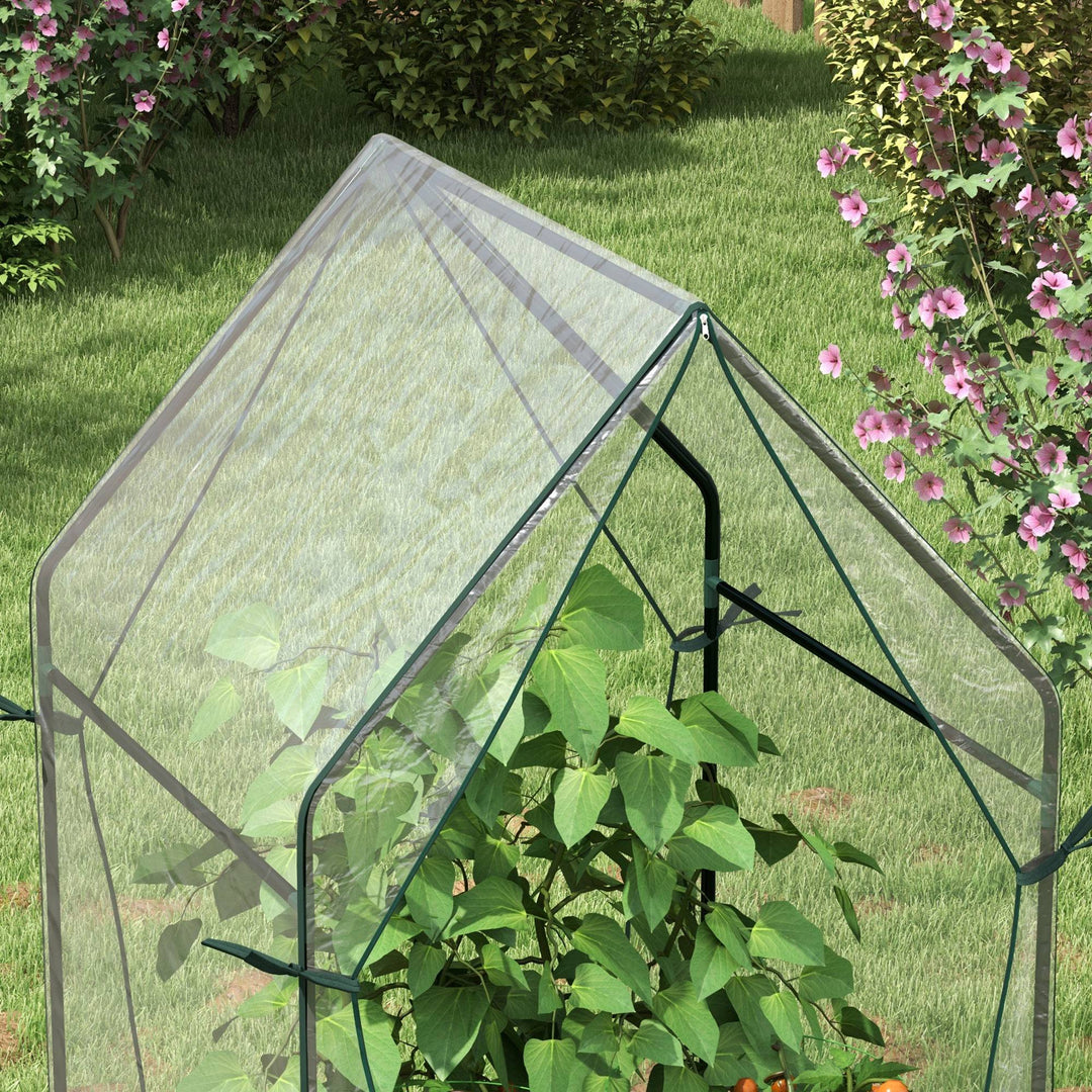 Mini Greenhouse, Garden Tomato Growhouse with 2 Zipped Doors, Portable Indoor Outdoor Green House, 90 x 90 x 145cm, Clear