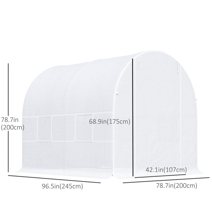 2.5 x 2 x 2 m Polytunnel Greenhouse, Walk-in Green House for Garden with Mesh Windows, Galvanised Steel Frame, White